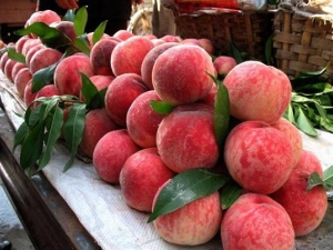 ���ӵ�Ӫ����ֵ ���ӵĽ�����Ⱥ