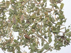 ɽ�ʲݵĹ�Ч������ ɽ�ʲݵĸ�������