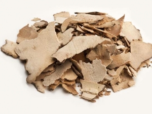 �ζ��⴦�� �ζ��⹦Ч �ζ����������