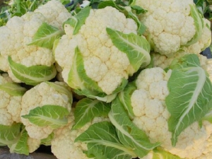 �峦θ�Ŷ��ķ��� �峦θ��ʲô�߲˺�