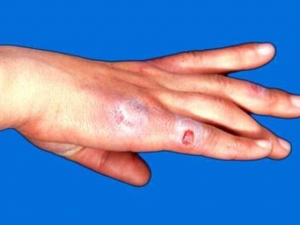 ������Σ������Щ ������������ô�� ���Ԥ��������