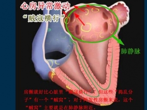 �����Ļ����̡��������̵�ԭ��