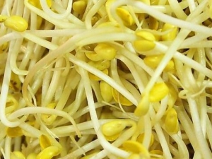 �ƶ�ѿ�Ĺ�Ч������ �ƶ�ѿ��������Ŀ��