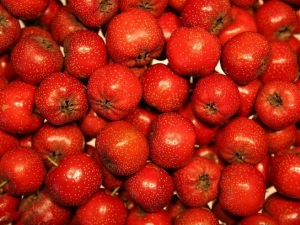 ɽ髵����� ɽ髲��������