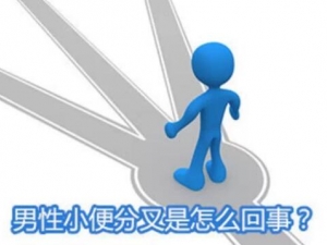 ����С��ֲ��ԭ�� ����С�������ӳ����״��