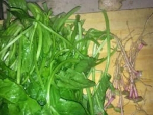 ���˵�Ӫ����ֵ�� ������ô��ϴ�ɾ�