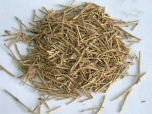 ͭǮ��ƵĹ�Ч������ ͭǮ��Ƶĸ���