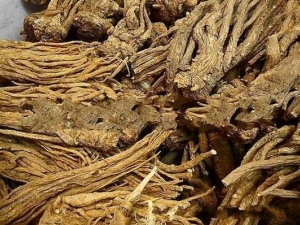 ��ҩ��������� ��ҩ�ĵ�ע������