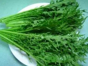 ѩ����Ӫ����ֵ ѩ����ʳ�ý���