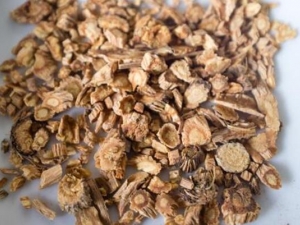 ����ദ�� ����๦Ч ������������