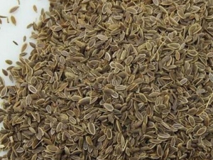 ݪ���ѵ�Ӫ����ֵ ݪ���ѵ�ʳ�÷���