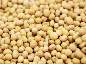 �ڷ���ʧ����֢״ �ڷ���ʧ����ԭ�� �ڷ���ʧ����ʲô��