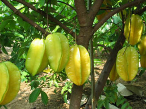 ��ǌ_��ǌ�Ĺ�Ч����|�÷�����