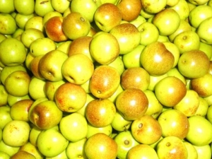 ��θ������ô�� ��θ������ô��ˮ��