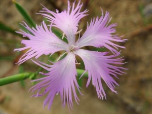 �����账�� �����蹦Ч �������������