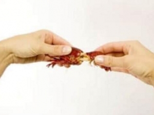 С��Ϻ��Ӫ����ֵ С��Ϻ��ο��ٰ�Ƥ