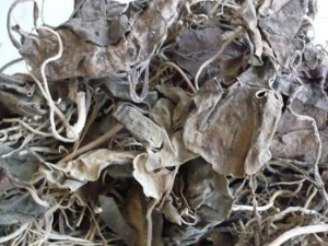 СѪ���ٵĹ�Ч������ СѪ���ٵ��÷�����