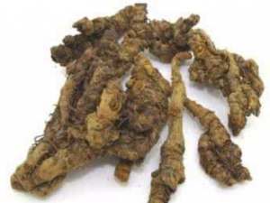 ¹����ô������Ч ¹�׵ı�����Ч