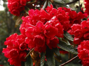 ���Ԥ�����۹��� �̵㳣���Ĺ���ԭ