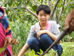 ������_�����صĹ�Ч����|�÷�����