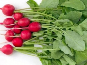 ˮ�ܲ���Ӫ����ֵ ˮ�ܲ���ʳ�÷���