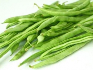 �ļ�����Ӫ����ֵ �ļ�����ô�Խ���