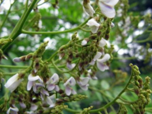 �����̴_�����̴�Ĺ�Ч|�÷�����