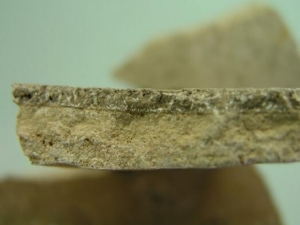 �����ᶾ��ҩ���� �����ᶾ��ҩ��Ч �����ᶾ��ҩ��������