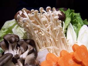 ���������������ʲô�� ��ô���佡��