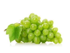 ������ôϴ ���ӵ�ʳ�÷���