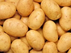 ������Ӫ����ֵ �����ܻ���������