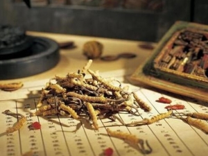 ����ҩ�ɷ����� ����ҩ�Ľ���