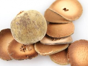 ����ɢ���� ����ɢ��Ч ����ɢ��������