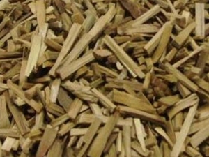 ��̴����Ĺ�Ч������ ��̴����ĸ���