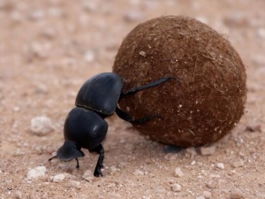 �ιܷ����� �ιܷ���Ч �ιܷ���������