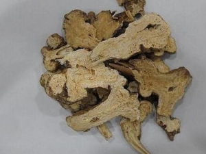 ͽƢ账 ͽƢ蹦Ч ͽƢ