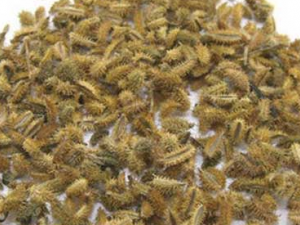 ��ʭ�Ĺ�Ч������ ��ʭ�Ĺ�������