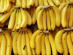 ����������ô��� ���س��㽶������ô���أ�