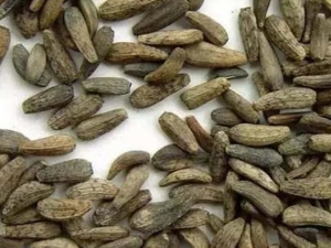 ����ɢ�����Ӵ��� ����ɢ�����ӹ�Ч ����ɢ�����Ӹ�������