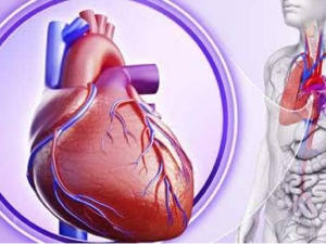 ��˥��ô�� ��˥��Ԥ������