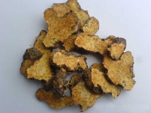 ���·۴��� ���·۹�Ч ���·۸�������