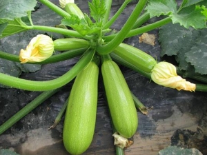 ��ʲô�߲��ܼ��� ����ʳ���Ƽ�