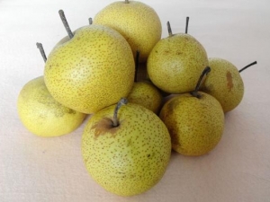 �����Ӫ����ֵ �����ʳ�÷���