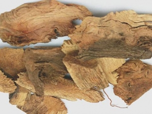 ɽ���ĵĹ�Ч������ ɽ���ĵĸ�������