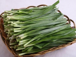 �������ԳԾ²��� ����Ծ²˵�ע������