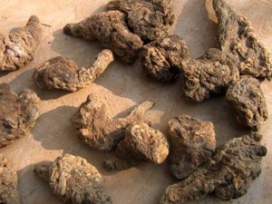 ������ɢ���� ������ɢ��Ч ������ɢ��������