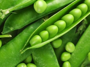 �߲����׵ķ��� ���׳�ʲô�߲˺�