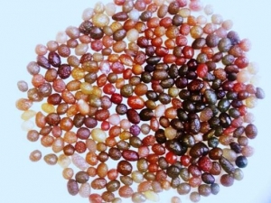 ���������ˮ��������Щ���Ժ�ǧ��Ҫ���ˣ�