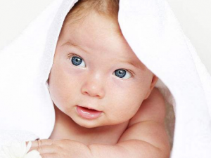 ���˷�ļ����� ����������˷�