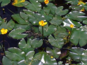 ��Щ���ʺϷ����ļ��෽�� һ����������